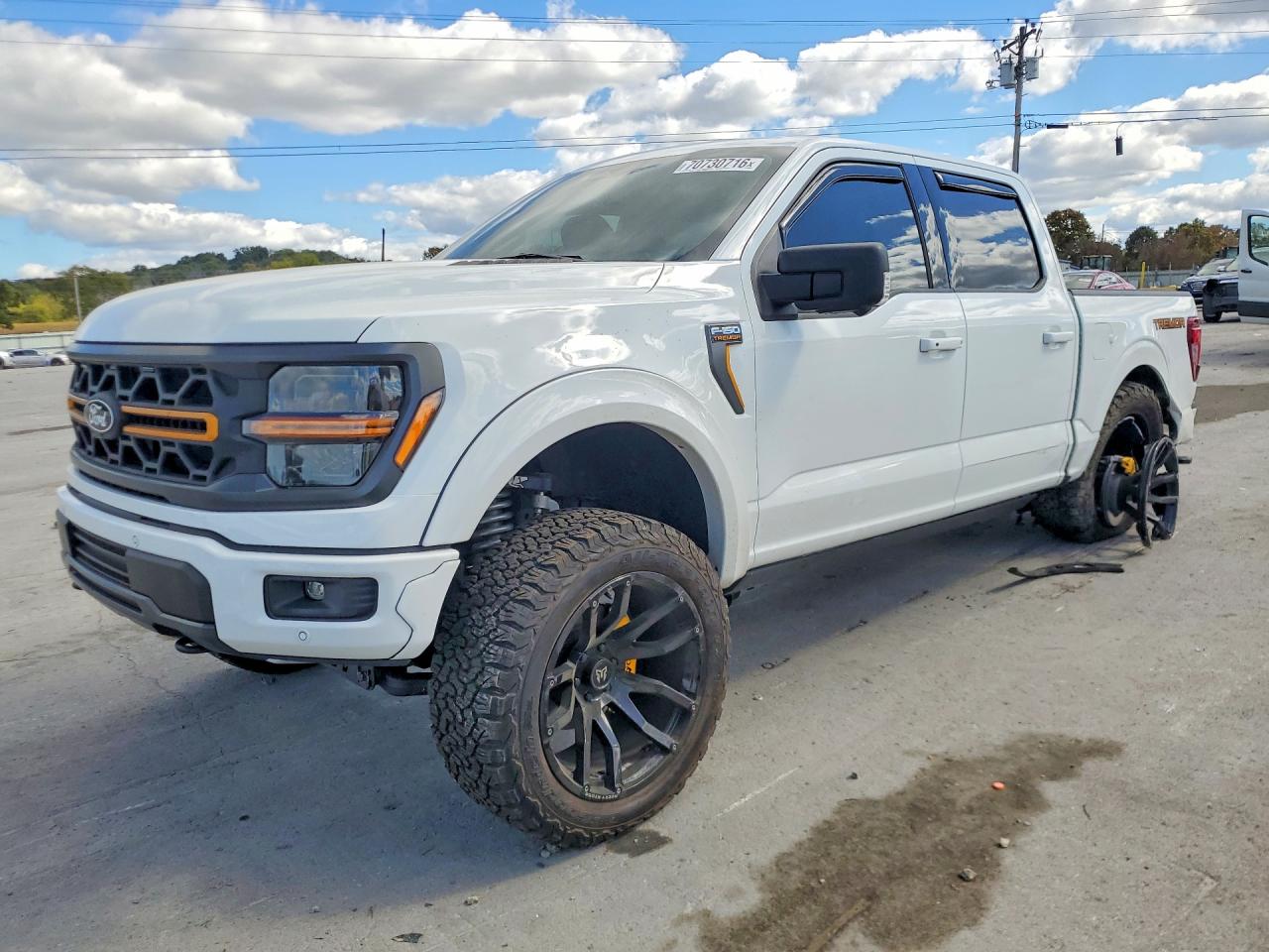 2025 FORD F150 TREMOR | 1FTFW4L53SFB74295 | UPCARS