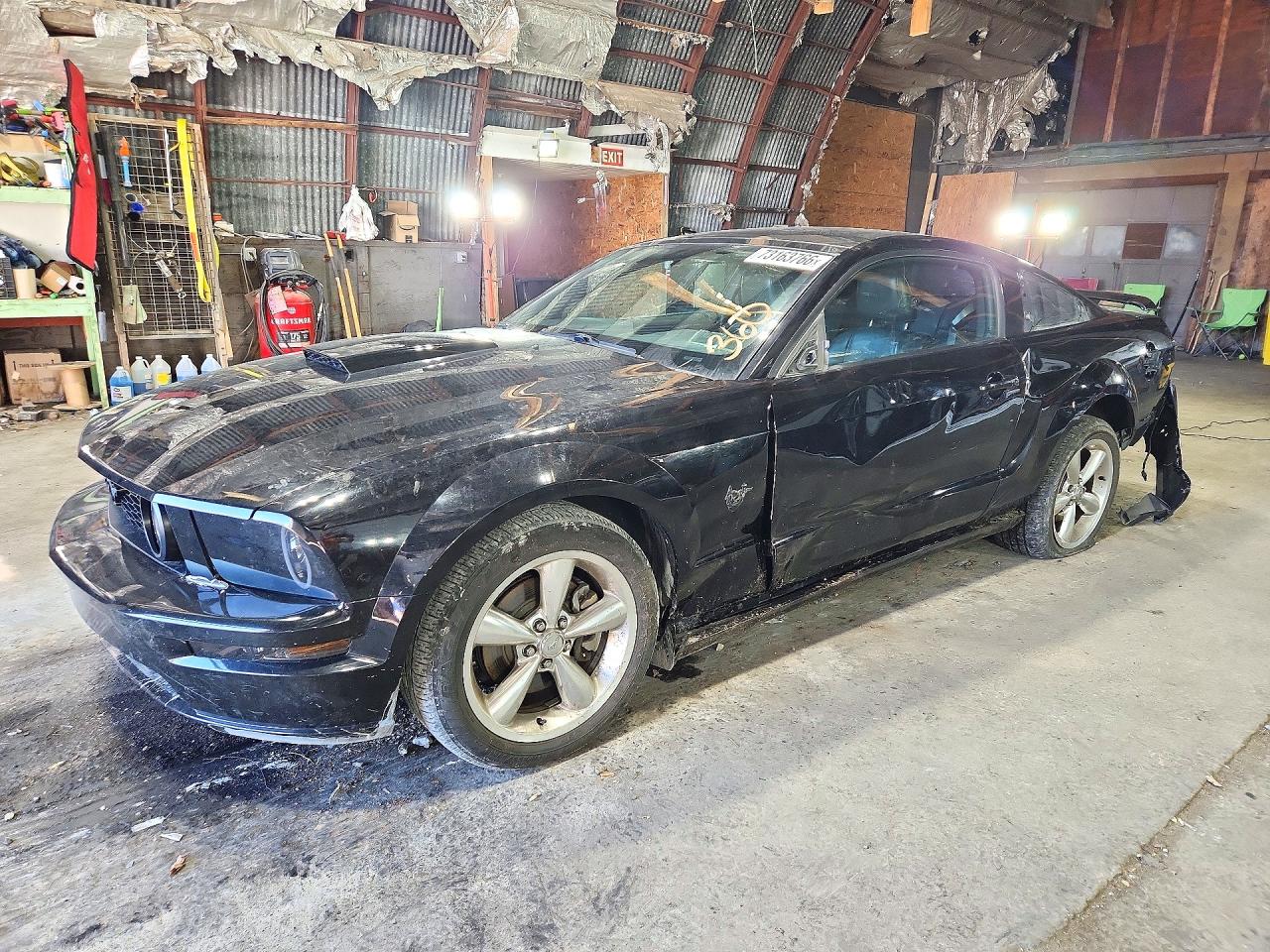 2009 FORD MUSTAN GT | 1ZVHT82H195120897 | UPCARS