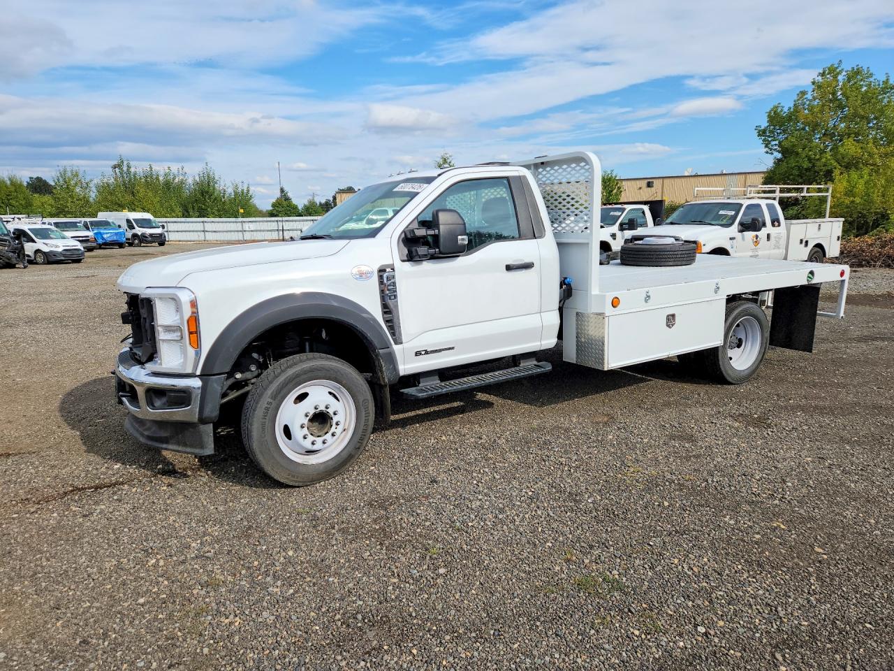2024 FORD F450 SUPER DUTY | 1FDUF4GT7RDA36020 | UPCARS