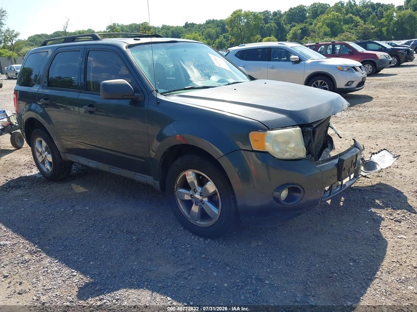 2009 FORD ESCAPE XLT | 1FMCU03G89KA25848 | UPCARS