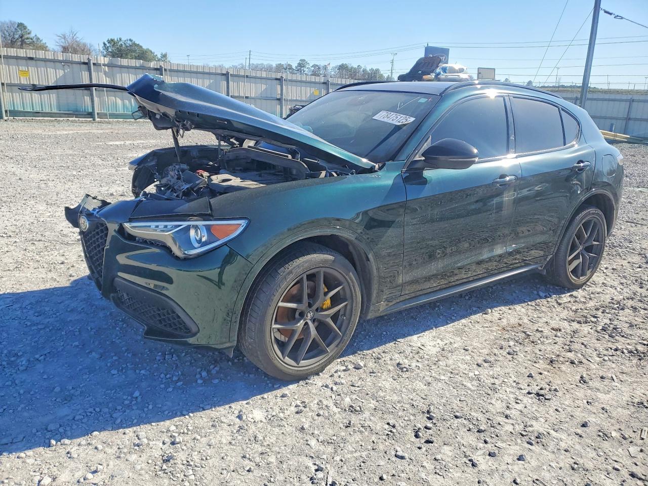 2021 ALFA ROMEO STELVIO TI | ZASPAKBN6M7D16541 | UPCARS