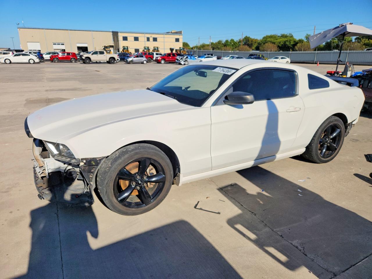 2013 FORD MUSTANG | 1ZVBP8AM7D5268389 | UPCARS