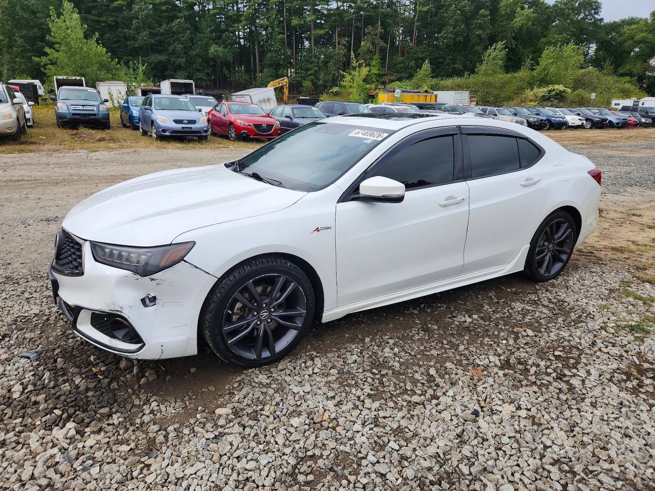 2019 ACURA TLX TECHNOLOGY | 19UUB3F61KA000662 | UPCARS