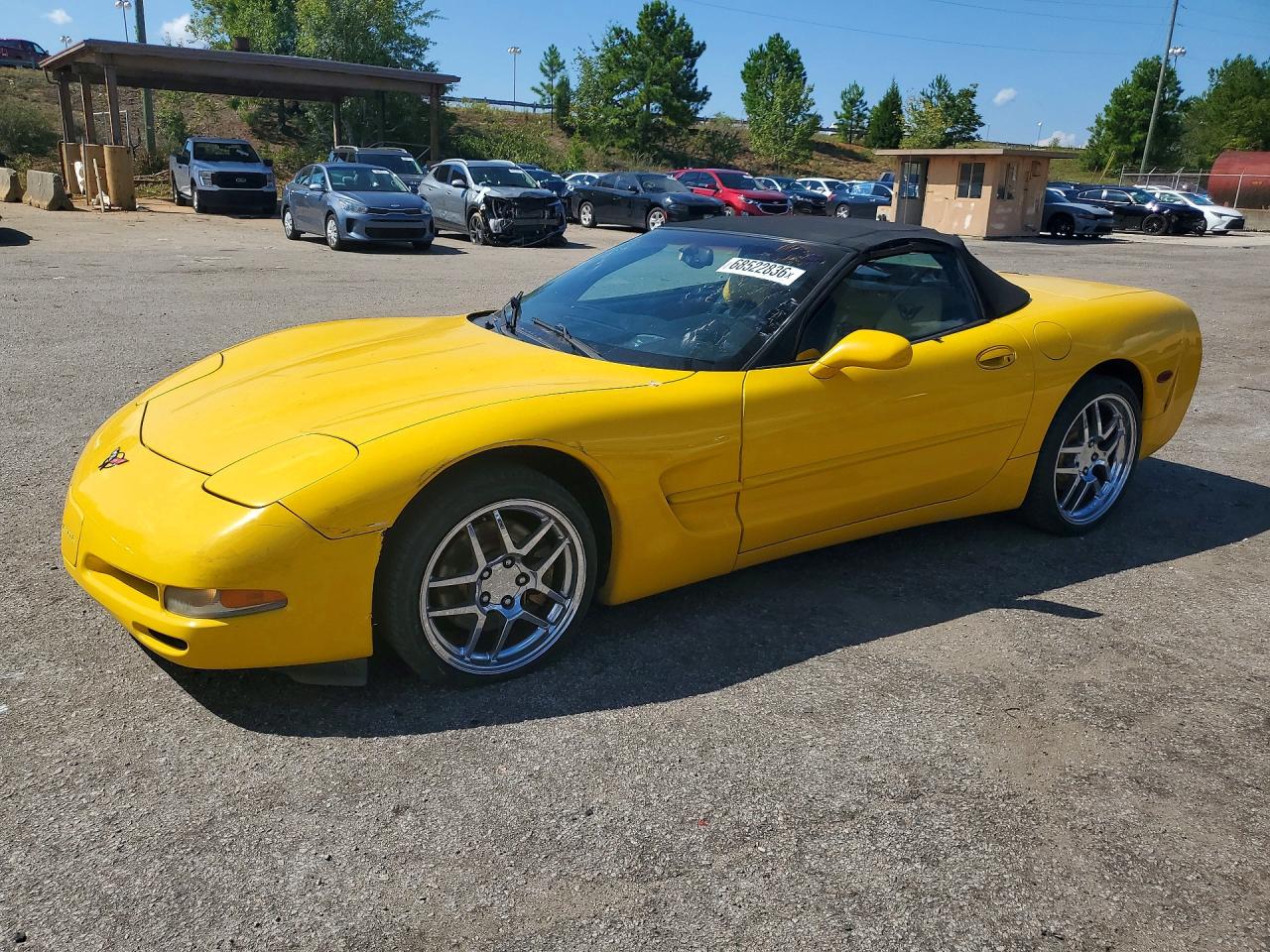 2002 CHEVROLET CORVETTE | 1G1YY32G325133521 | UPCARS