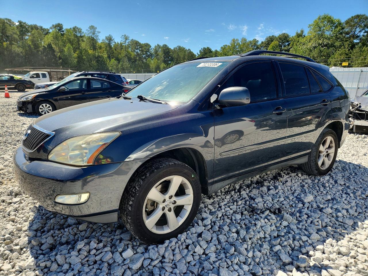 2004 LEXUS RX 330 | 2T2GA31U14C012521 | UPCARS