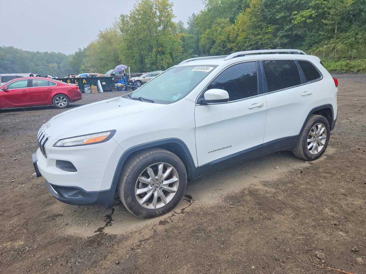 2017 JEEP CHEROKEE LIMITED | 1C4PJMDS8HW544611 | UPCARS