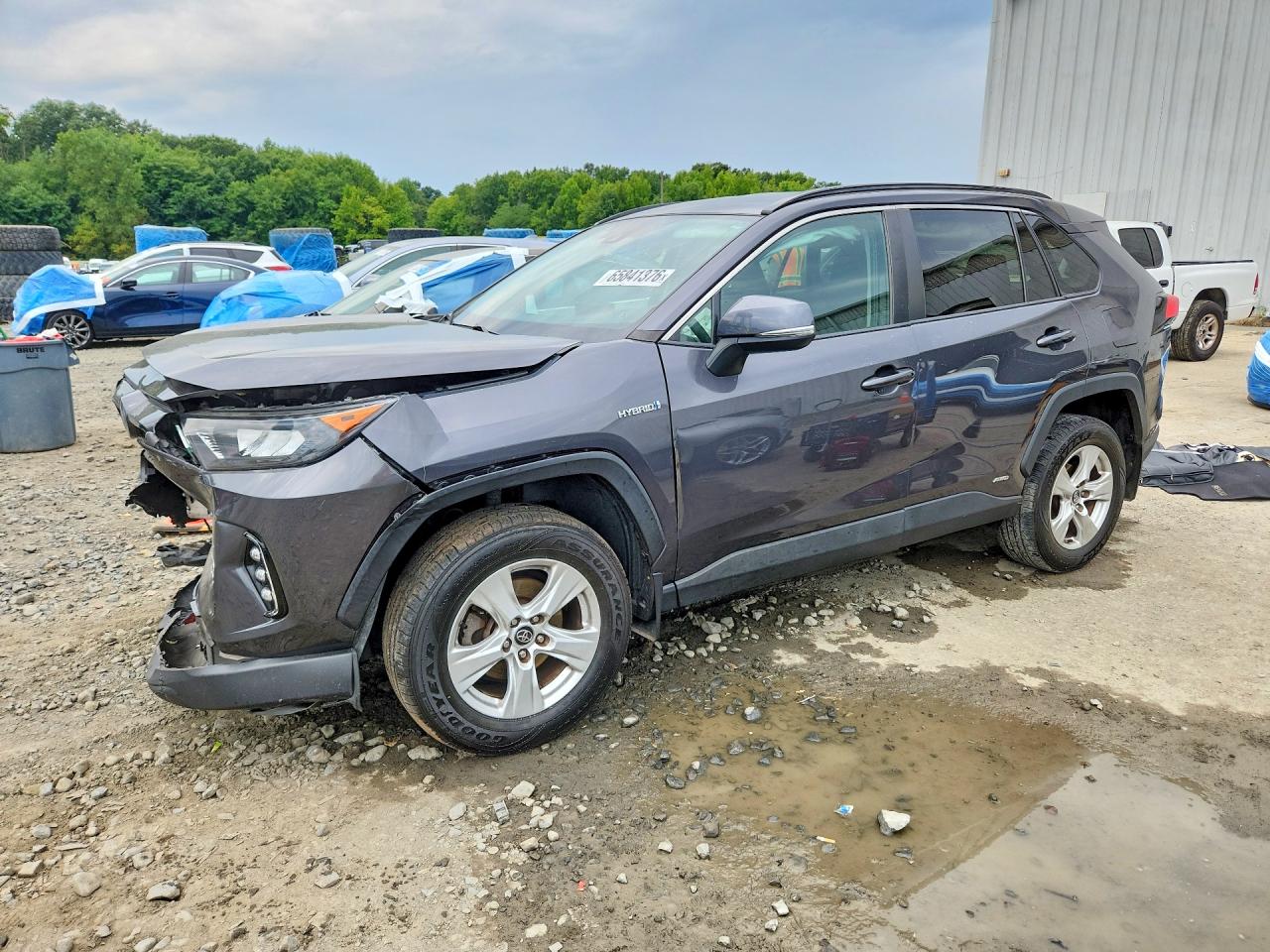 2019 TOYOTA RAV4 LE | 2T3MWRFV7KW005413 | UPCARS