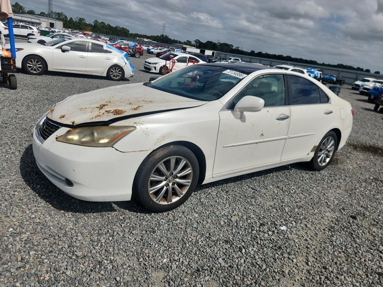 2007 LEXUS ES 350 | JTHBJ46G772033866 | UPCARS
