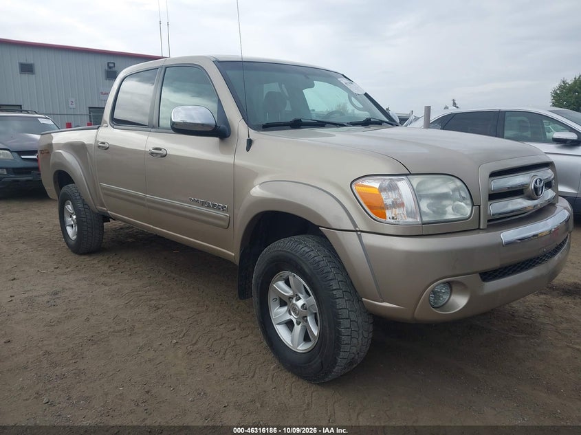 2006 TOYOTA TUNDRA SR5 V8 | 5TBDT44196S514382 | UPCARS