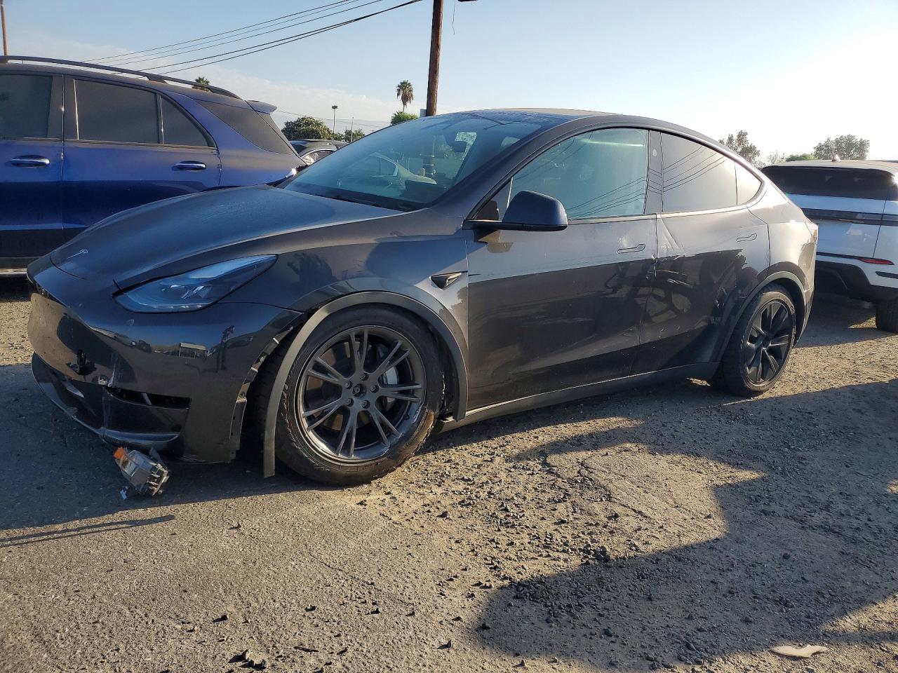 2025 TESLA MODEL Y | 7SAYGDEE0SF216643 | UPCARS