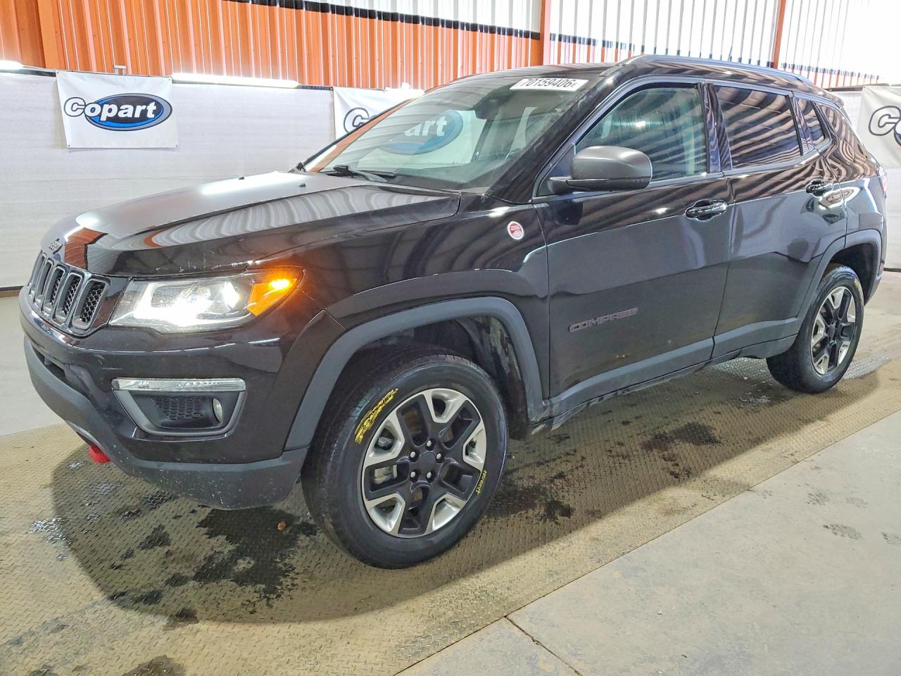 2018 JEEP COMPASS TRAILHAWK | 3C4NJDDB5JT128342 | UPCARS