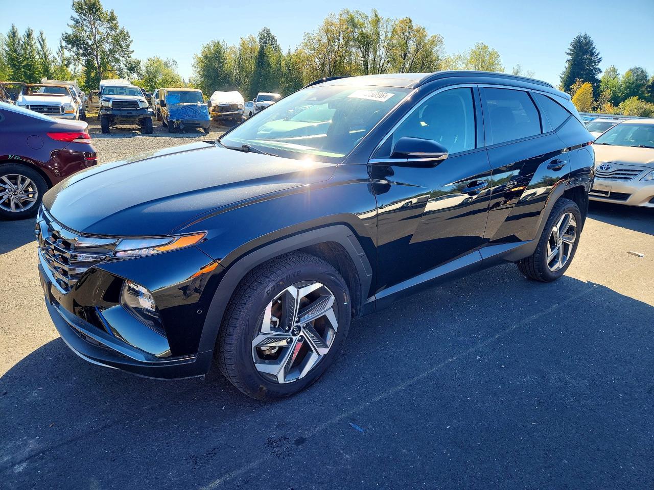 2023 HYUNDAI TUCSON LIMITED | 5NMJECAE9PH236996 | UPCARS