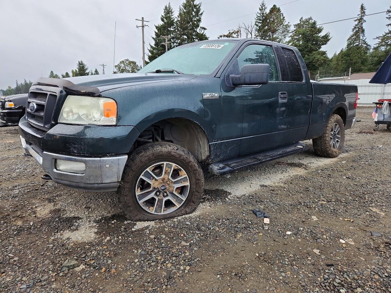 2004 FORD F150 | 1FTPX145X4FA23231 | UPCARS