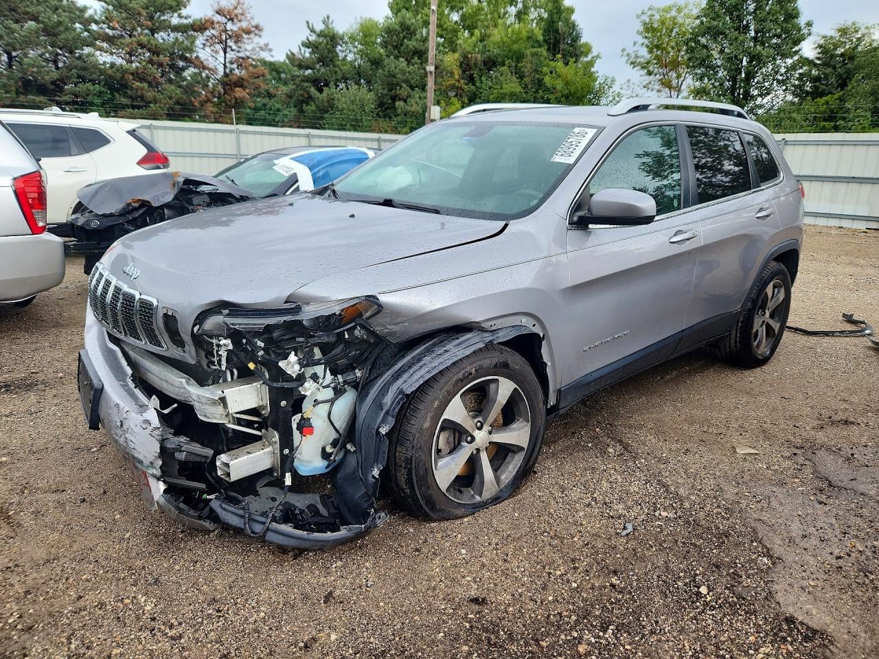 2019 JEEP CHEROKEE LIMITED | 1C4PJMDX9KD209954 | UPCARS