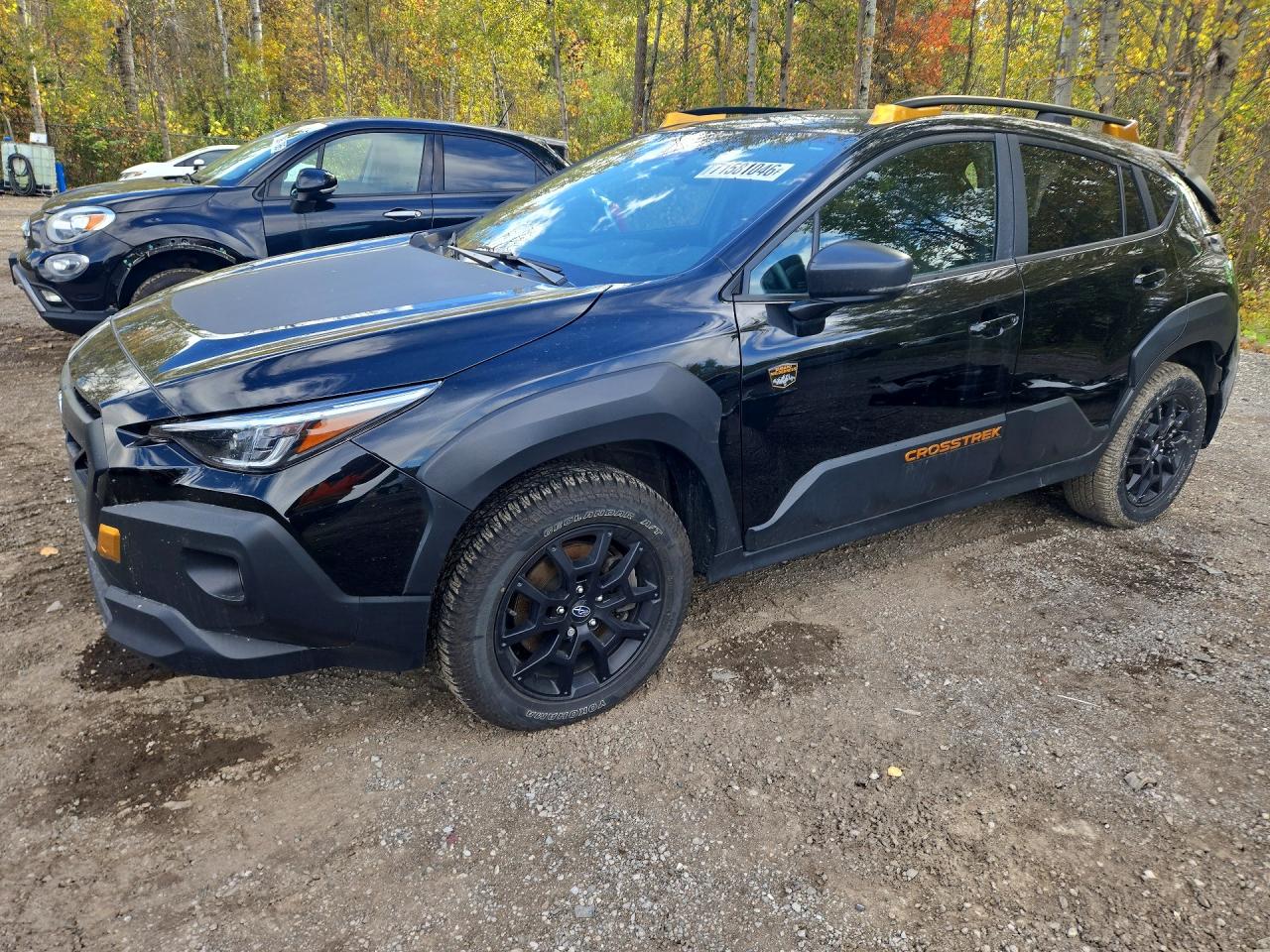 2025 SUBARU CROSSTREK WILDERNESS | 4S4GUHU62S3715455 | UPCARS