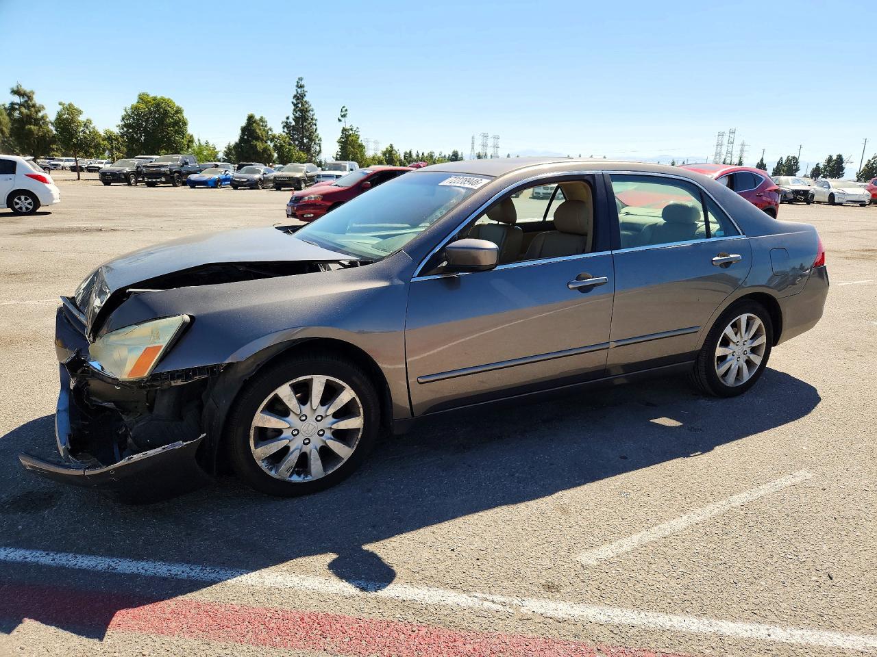 2006 HONDA ACCORD EX | 1HGCM66516A069937 | UPCARS