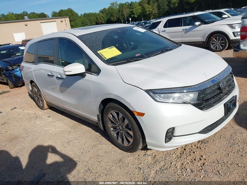 2024 HONDA ODYSSEY EX-L | 5FNRL6H69RB068869 | UPCARS