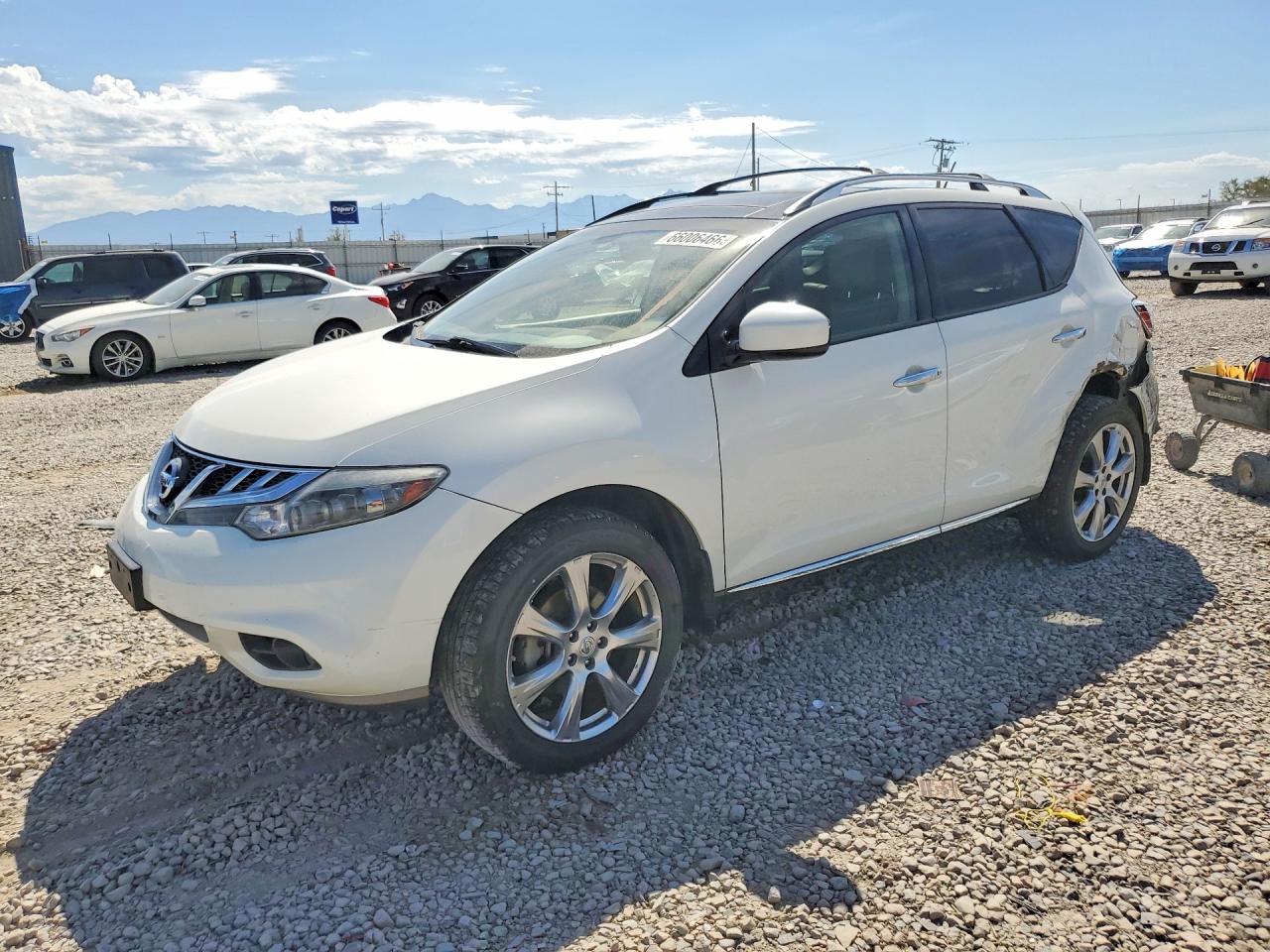 2014 NISSAN MURANO LE | JN8AZ1MW4EW508835 | UPCARS
