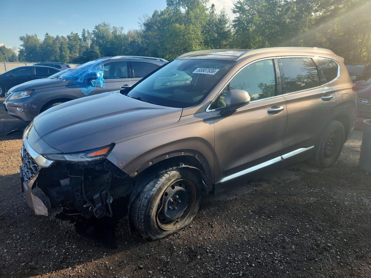 2019 HYUNDAI SANTA FE LIMITED | 5NMS5CAAXKH103528 | UPCARS