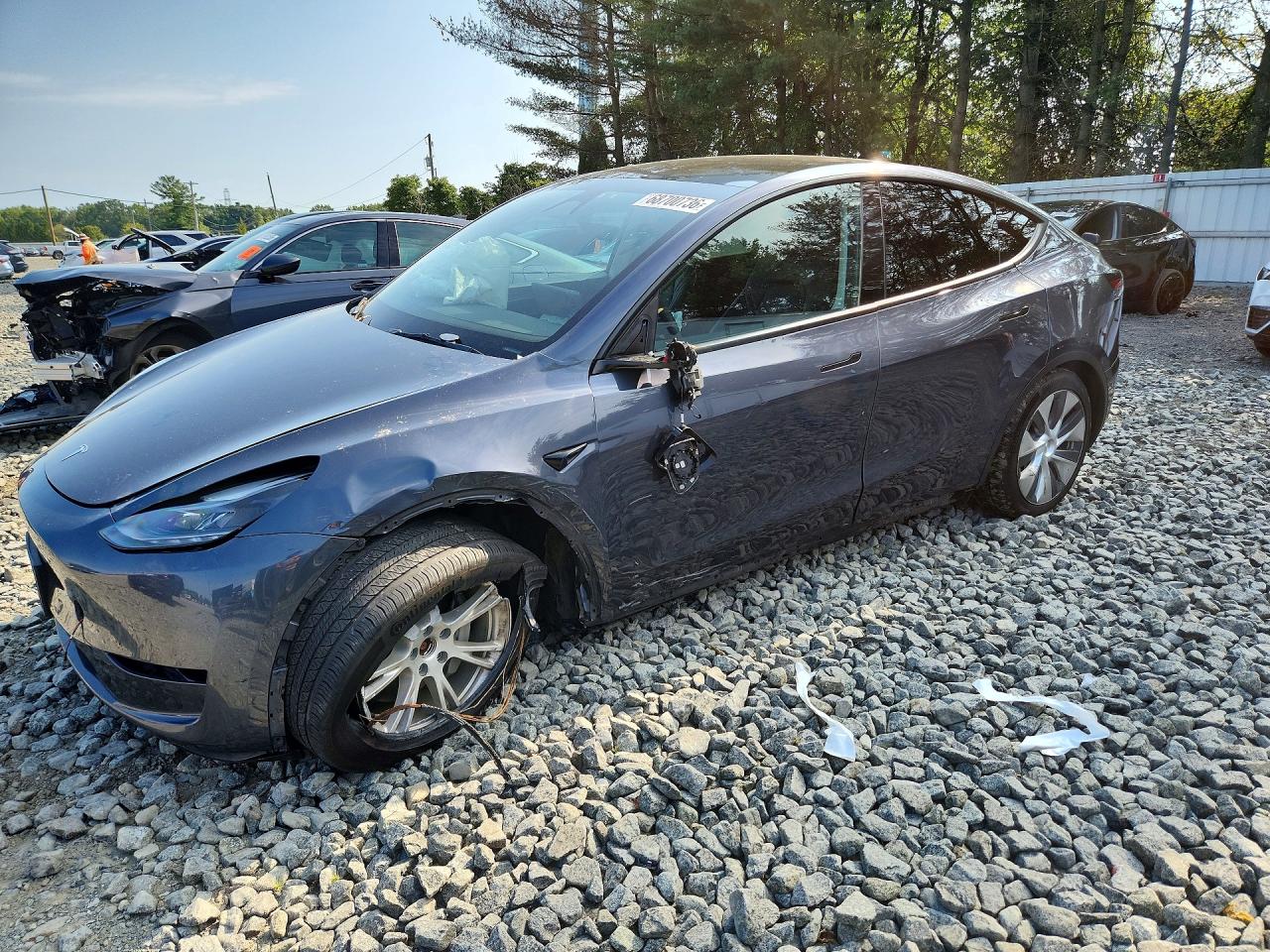 2023 TESLA MODEL Y | 7SAYGAEE4PF844193 | UPCARS
