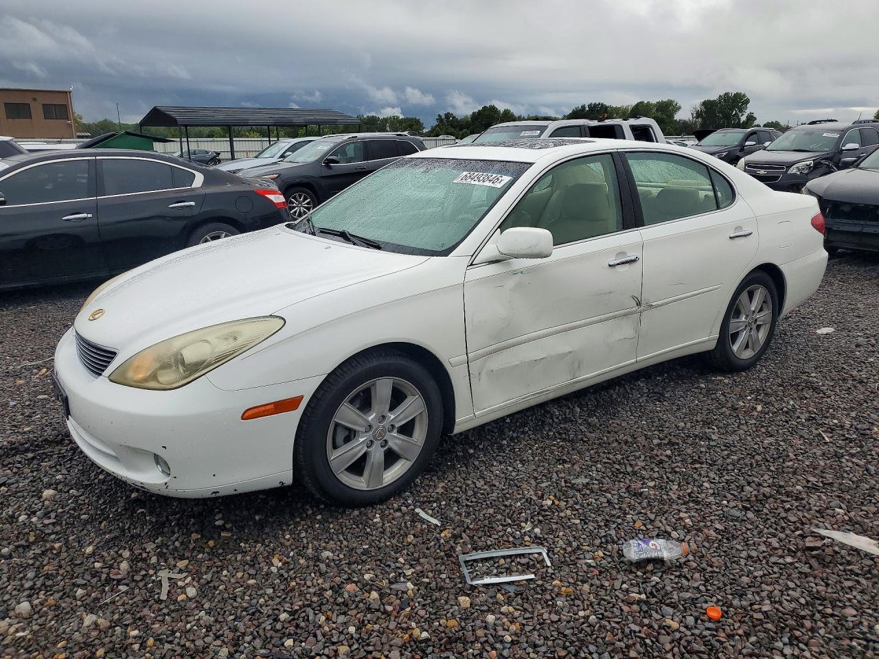 2005 LEXUS ES 330 | JTHBA30G155063797 | UPCARS