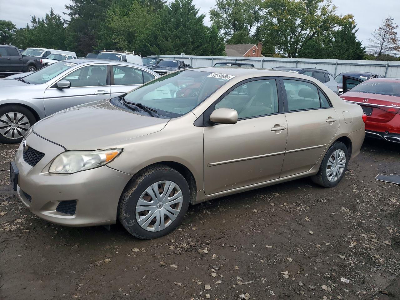 2009 TOYOTA COROLLA XLE | 2T1BU40EX9C148109 | UPCARS