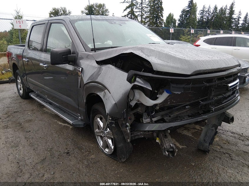 2025 FORD F-150 XLT | 1FTEW3K55SKE63337 | UPCARS