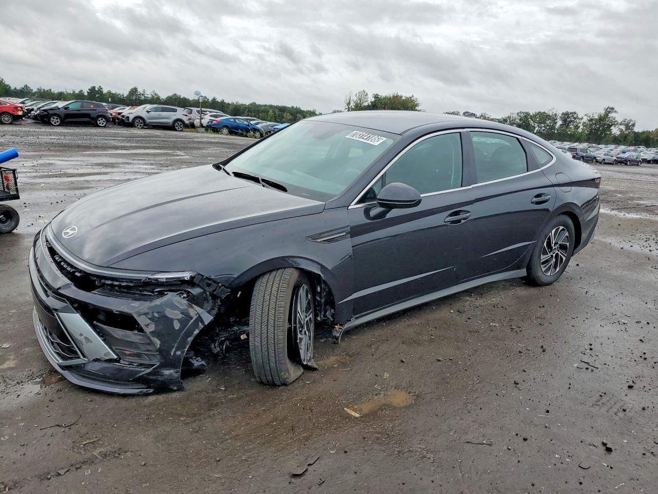 2026 HYUNDAI SONATA BLUE | KMHL24JJXTA175355 | UPCARS
