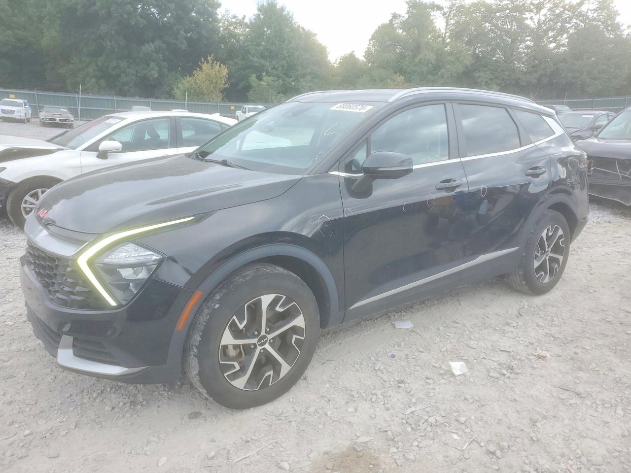 2023 KIA SPORTAG EX | 5XYK3CAF8PG028542 | UPCARS