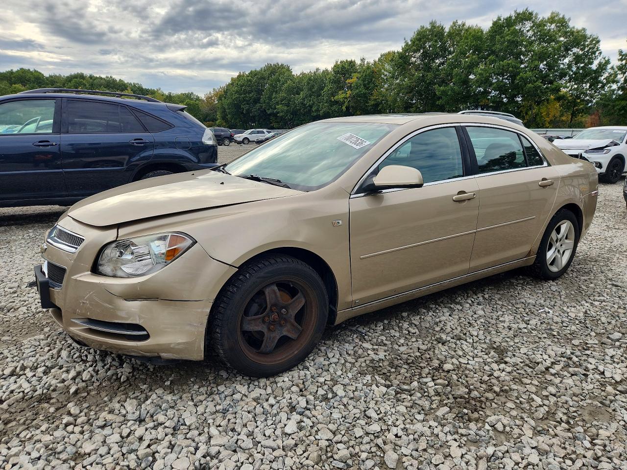 2008 CHEVROLET MALIBU 1LT | 1G1ZH57B08F253096 | UPCARS