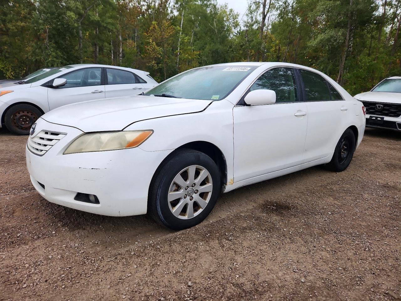 2007 TOYOTA CAMRY XLE | 4T1BE46KX7U628818 | UPCARS