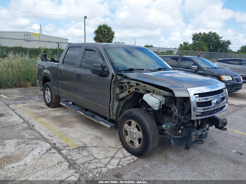 2013 FORD F-150 XLT | 1FTFW1EF9DFC20817 | UPCARS