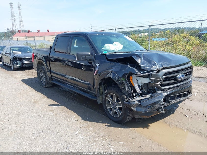 2023 FORD F-150 XLT | 1FTEW1EP3PFA21982 | UPCARS
