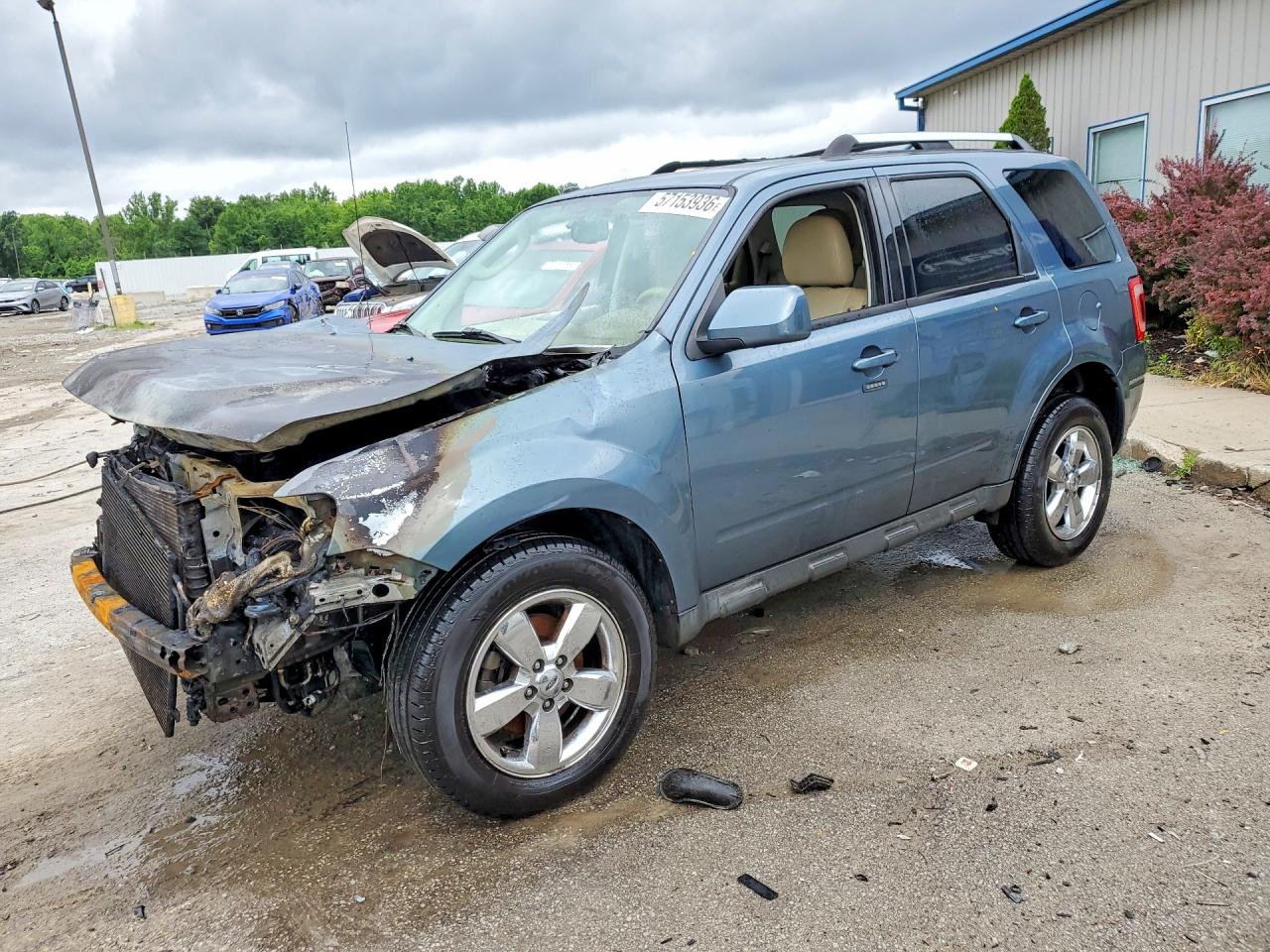 2011 FORD ESCAPE LIMITED | 1FMCU0EG6BKA31487 | UPCARS