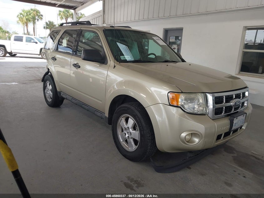 2011 FORD ESCAPE XLT | 1FMCU0D72BKB10673 | UPCARS