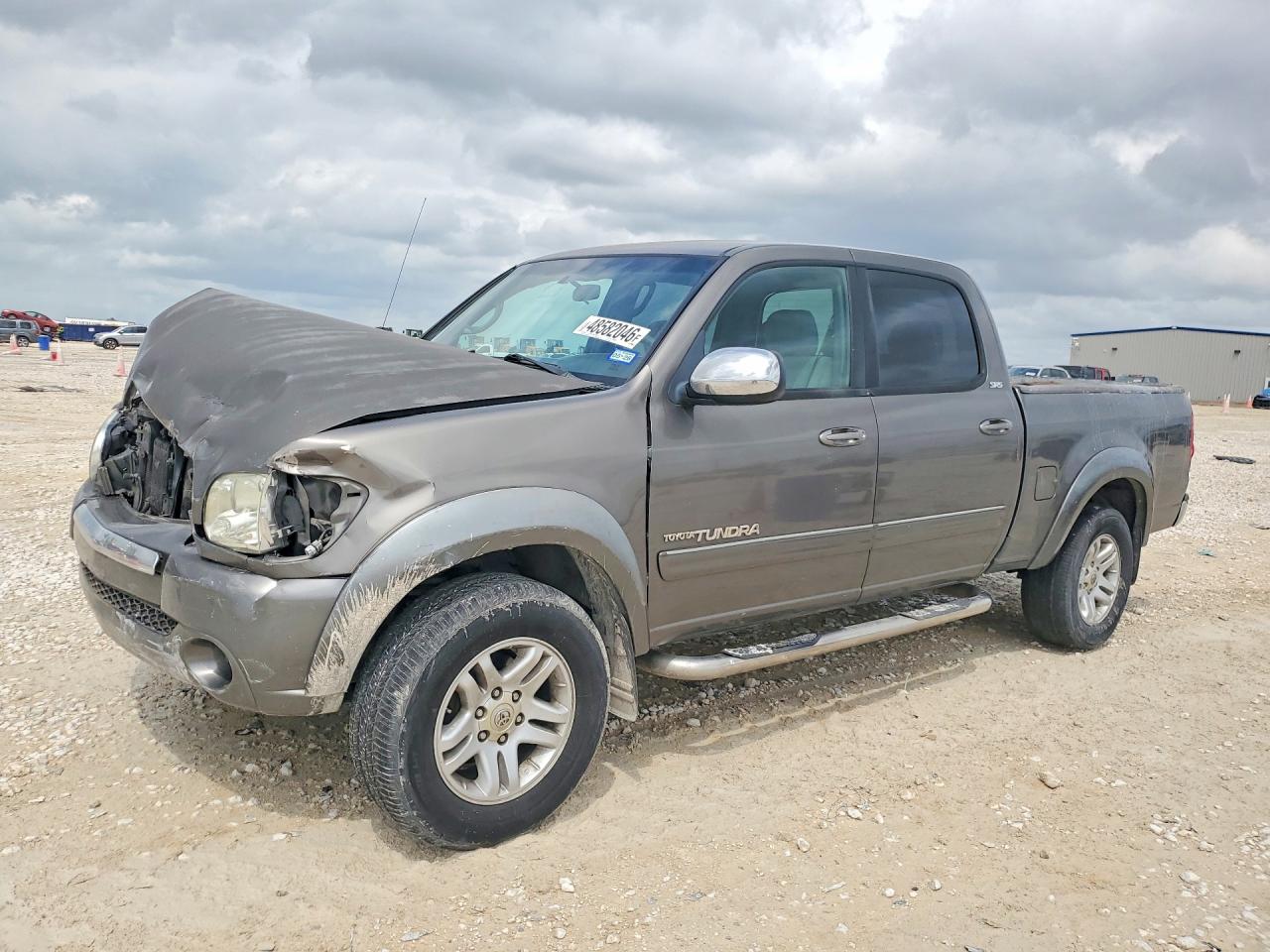 2006 TOYOTA TUNDRA SR5 | 5TBET34196S510802 | UPCARS