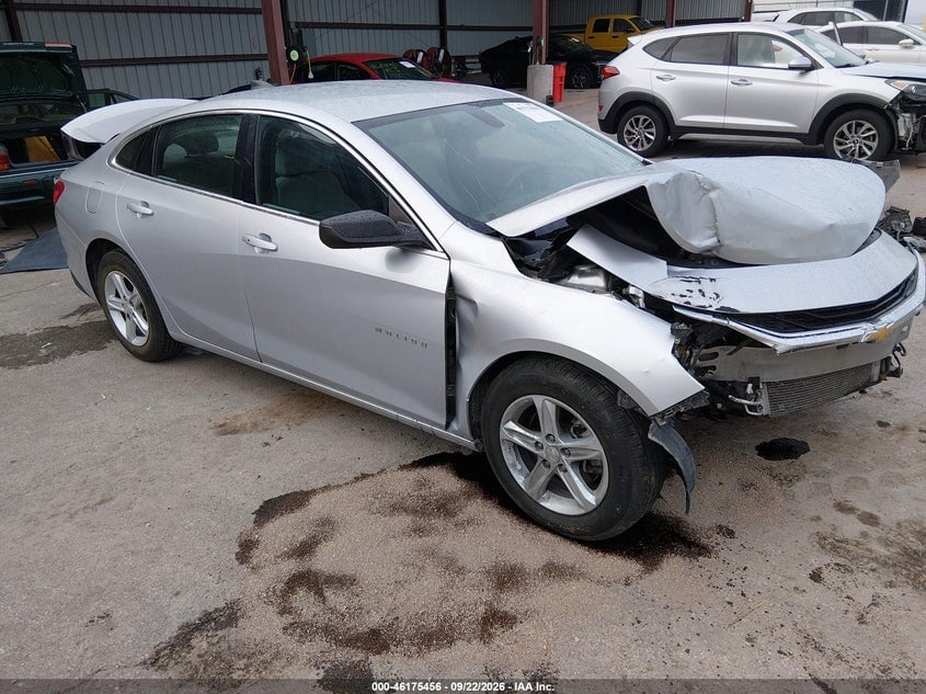 2019 CHEVROLET MALIBU 1FL | 1G1ZC5ST6KF184002 | UPCARS