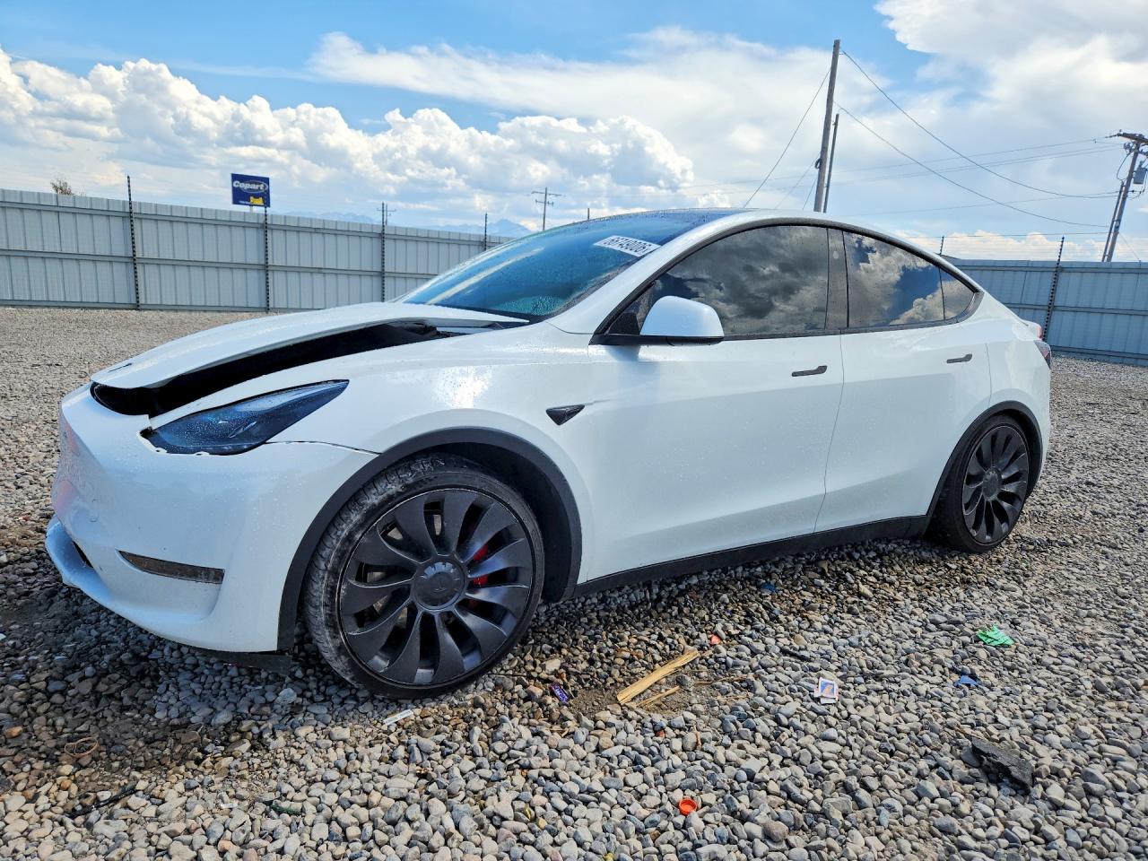 2023 TESLA MODEL Y | 7SAYGDEF7PF848586 | UPCARS