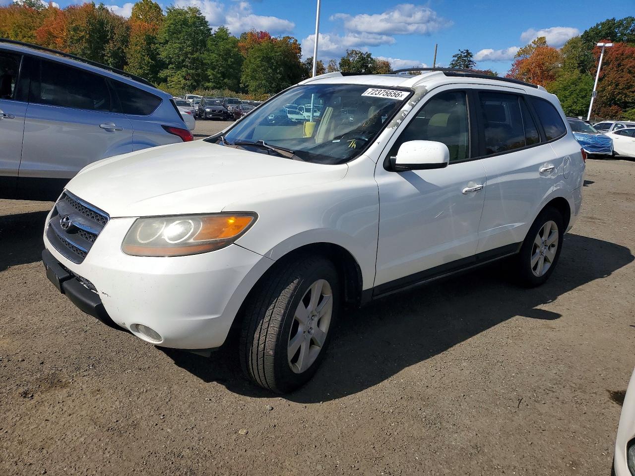 2007 HYUNDAI SANTA FE SE | 5NMSH73E37H050564 | UPCARS