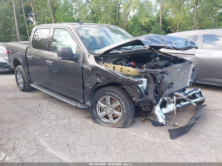 2020 FORD F-150 XLT | 1FTEW1EBXLKF25659 | UPCARS
