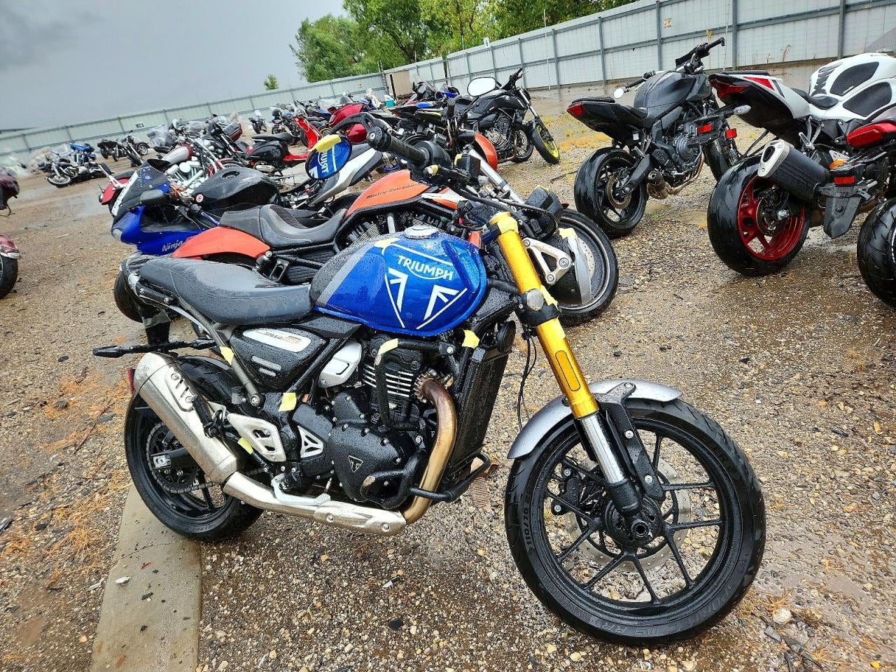 2025 TRIUMPH MOTORCYCLE SPEEDTRIPL 400 | SMTT127YXSNA30621 | UPCARS