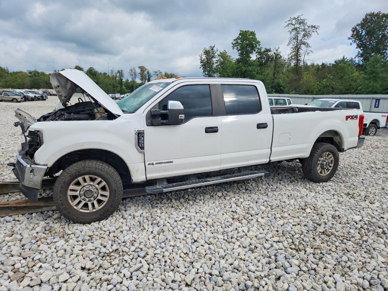2019 FORD F350 SUPER DUTY | 1FT8W3BT2KED51122 | UPCARS