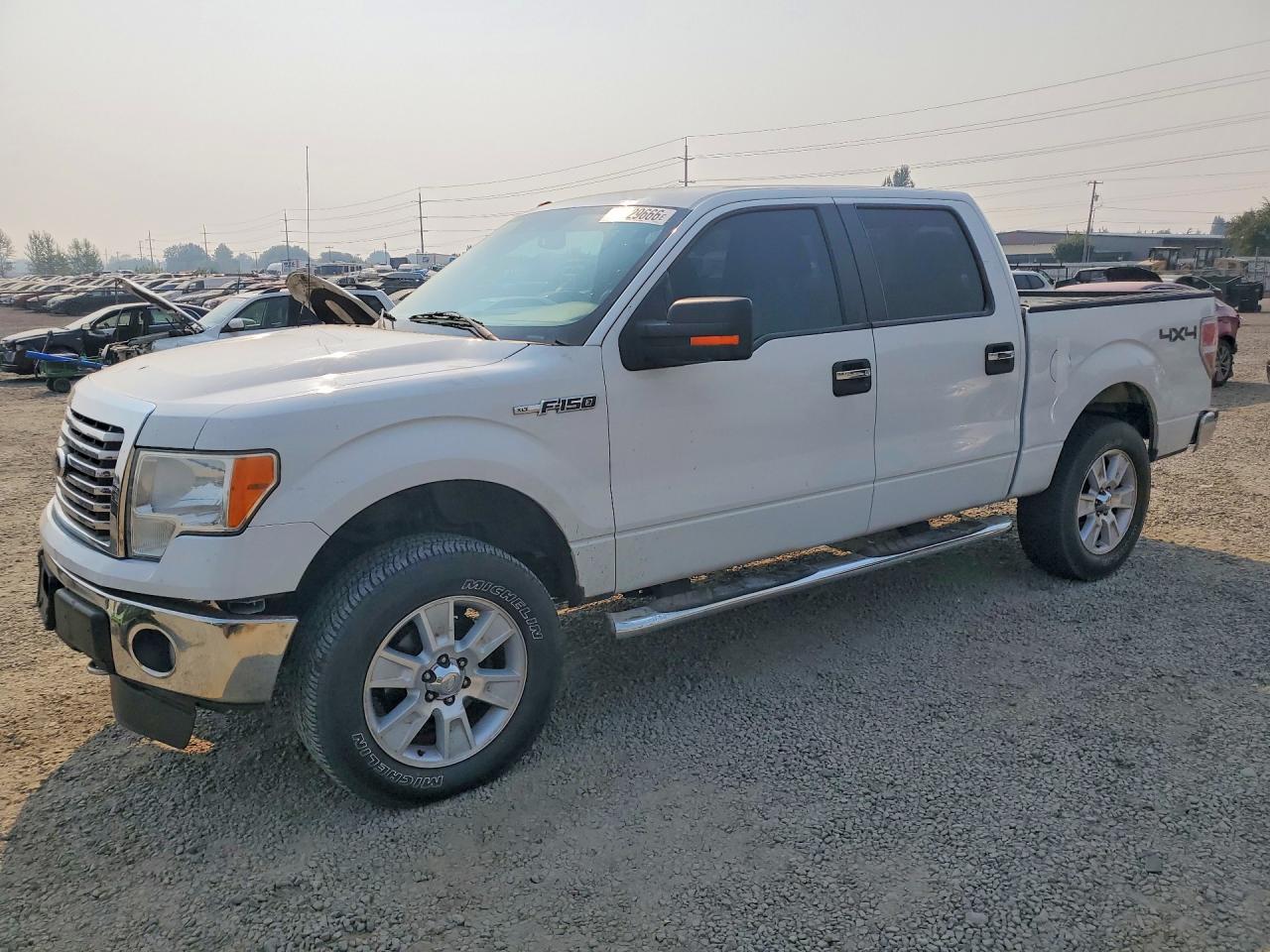 2011 FORD F150 SUPERCREW | 1FTFW1EF3BFB58246 | UPCARS