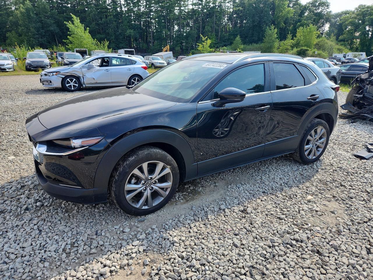 2024 MAZDA CX30 PREFERRED | 3MVDMBCM0RM612188 | UPCARS