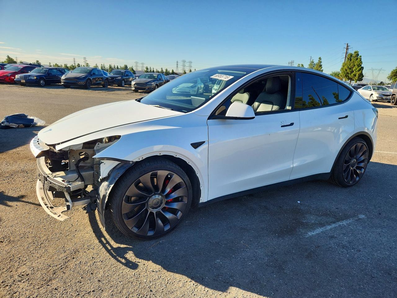 2021 TESLA MODEL Y | 5YJYGDEF3MF240086 | UPCARS