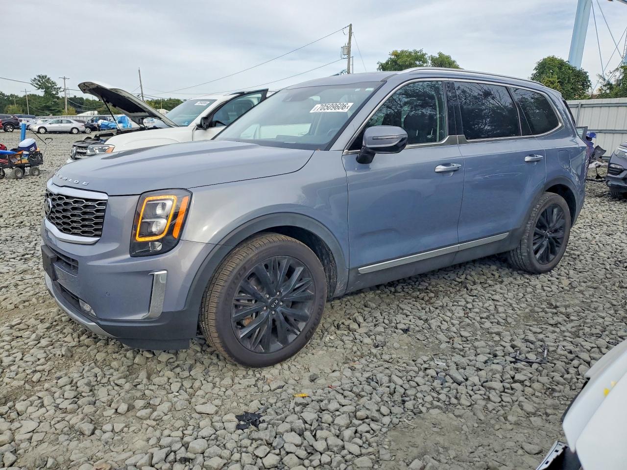 2020 KIA TELLURIDE SX | 5XYP5DHC9LG048519 | UPCARS