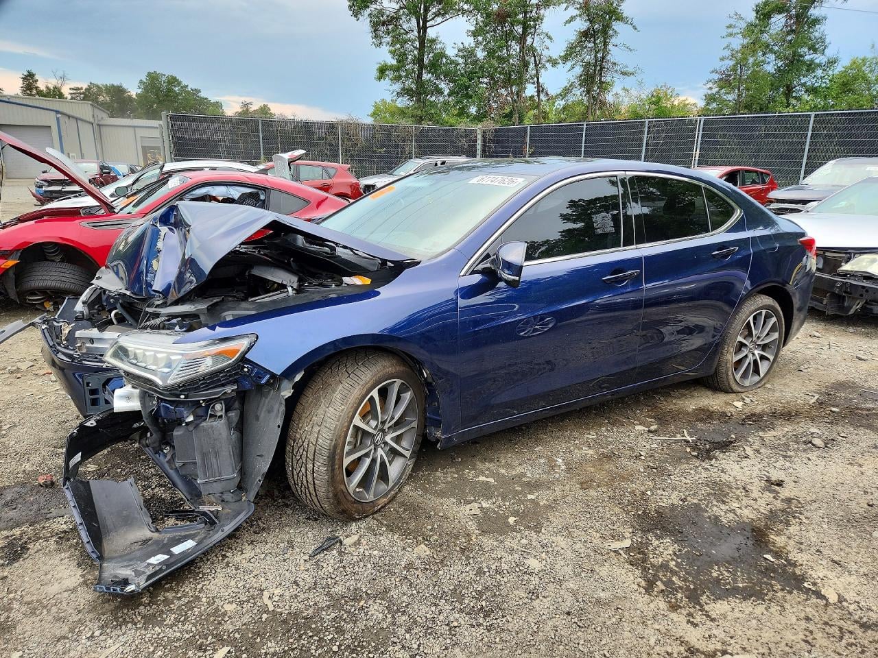 2017 ACURA TLX | 19UUB2F37HA002585 | UPCARS