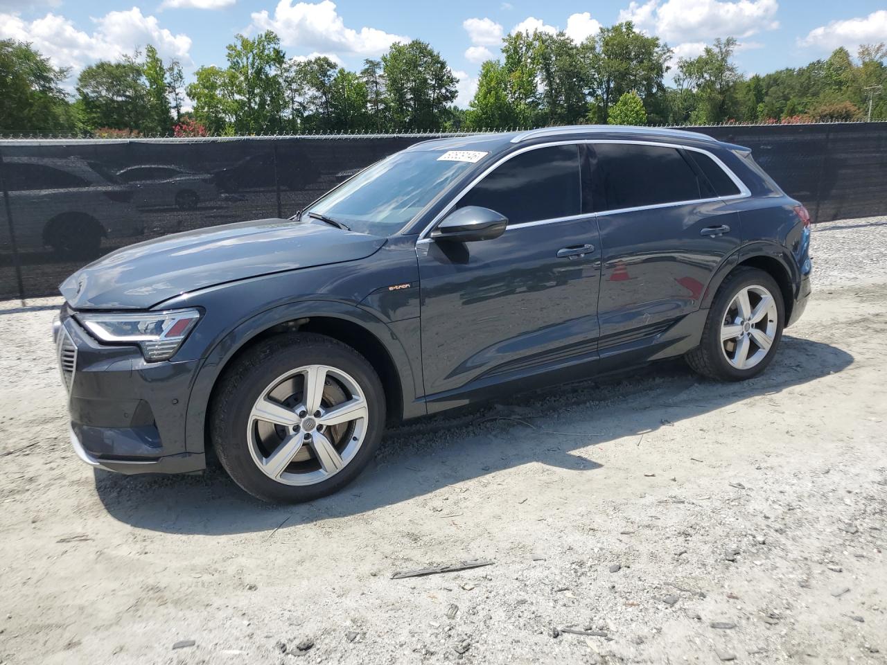 2019 AUDI E-TRON PREMIUM PLUS | WA1LAAGE7KB024783 | UPCARS