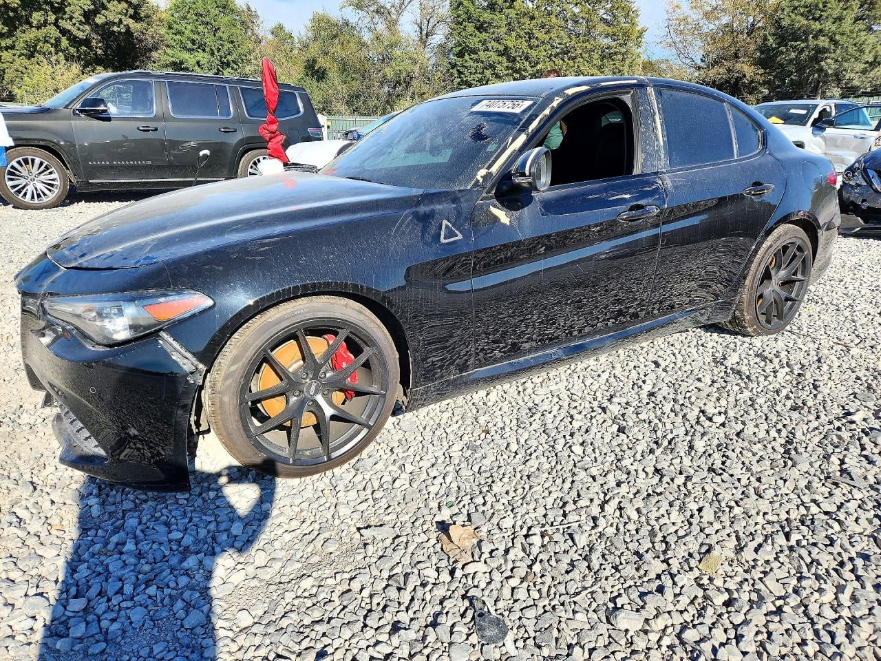 2019 ALFA ROMEO GIULIA | ZARFAMAN3K7616218 | UPCARS