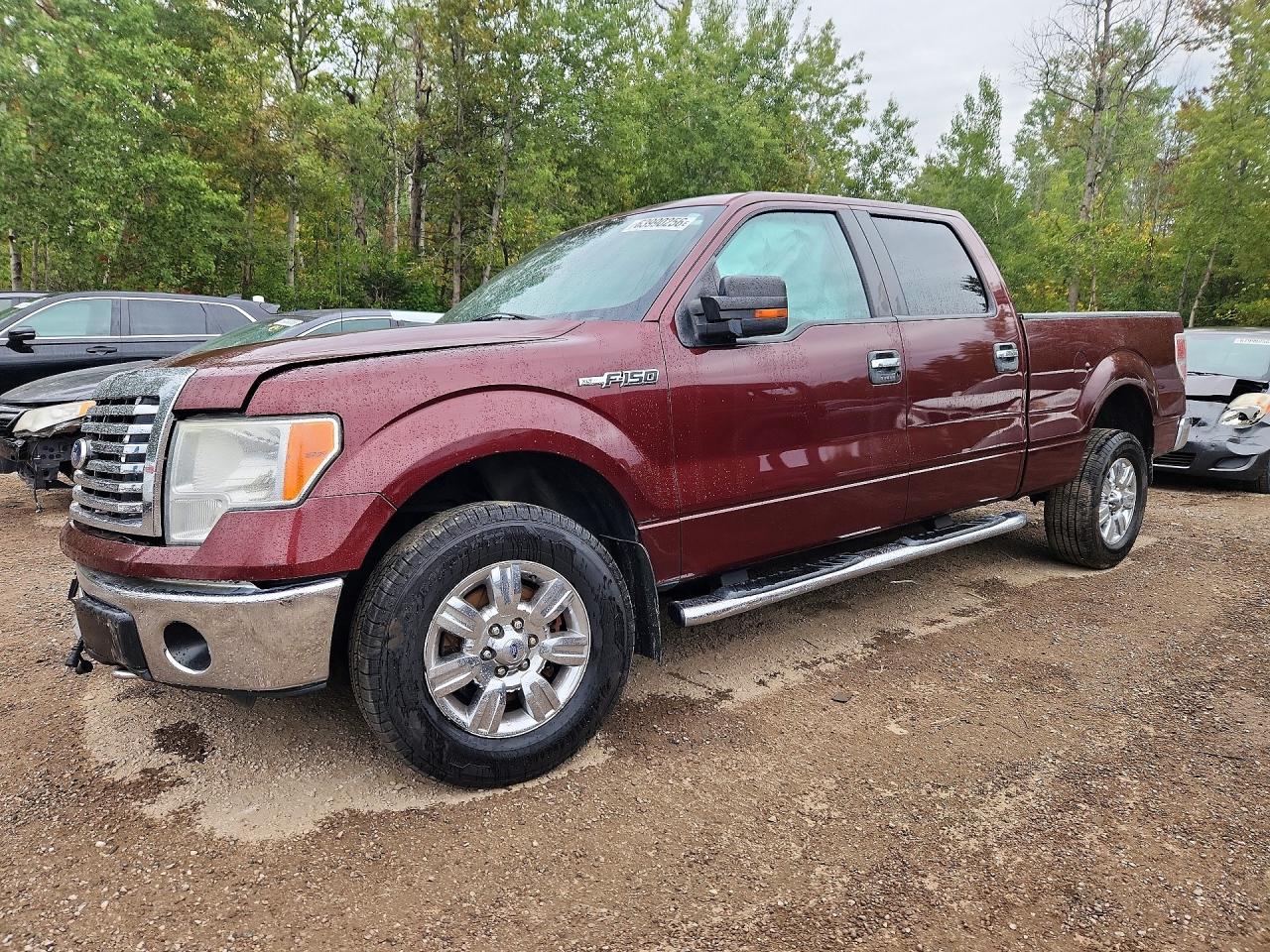 2010 FORD F150 SUPERCREW | 1FTFW1E8XAFB99845 | UPCARS